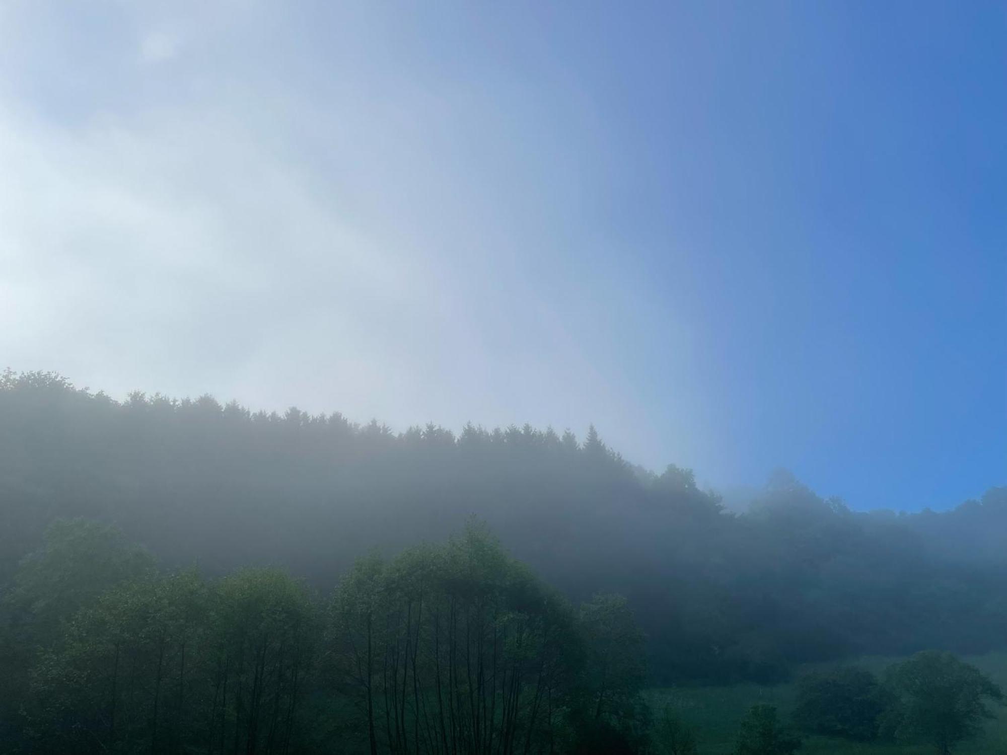 Antweiler House With A View - Modernes Ferienhaus In Der Eifelヴィラ エクステリア 写真