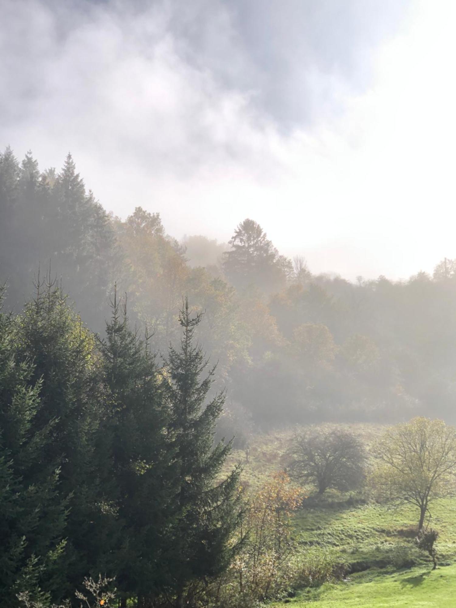 Antweiler House With A View - Modernes Ferienhaus In Der Eifelヴィラ エクステリア 写真